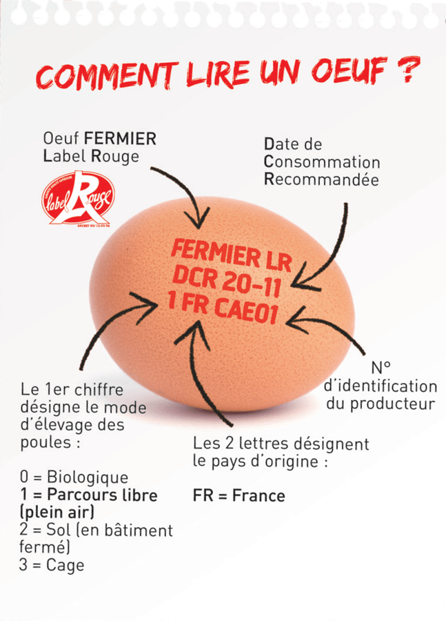 comment-lire-code-oeuf
